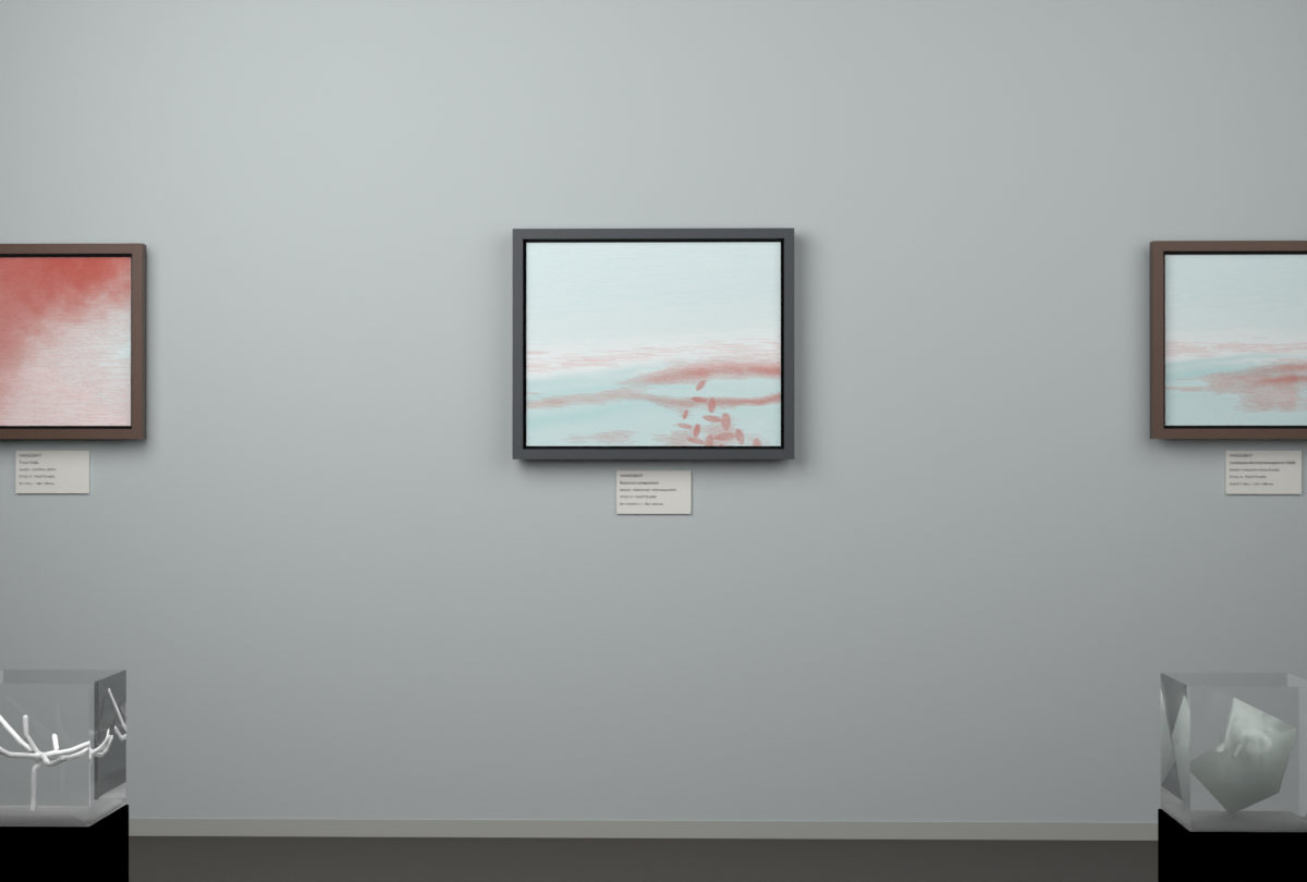 High Haze · Kelp Shallows · gallery context room view