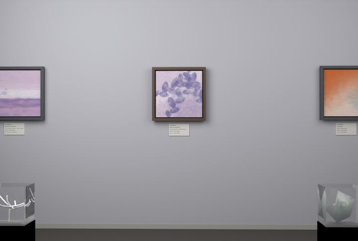 Botanical Tropical Passage — Botanical composition, palette 64