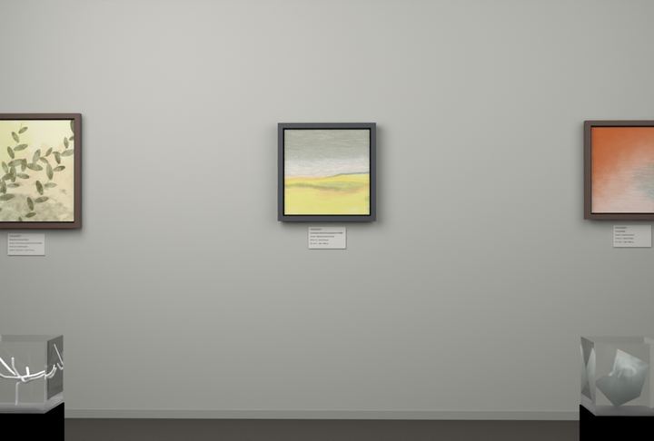 Broken Distant Bank — Landscape-derived atmospheric fields, palette 210
